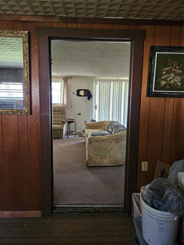 193 County Road 1704, Clifton, TX 76634 - hall featuring dark carpet and wooden walls