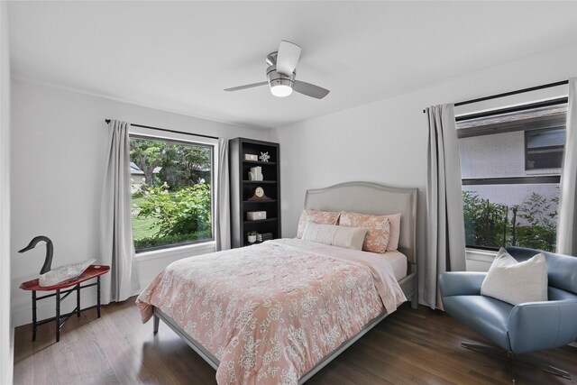 11641 Sasanqua Ln, Dallas, TX 75218 - bedroom featuring wood finished floors and a ceiling fan