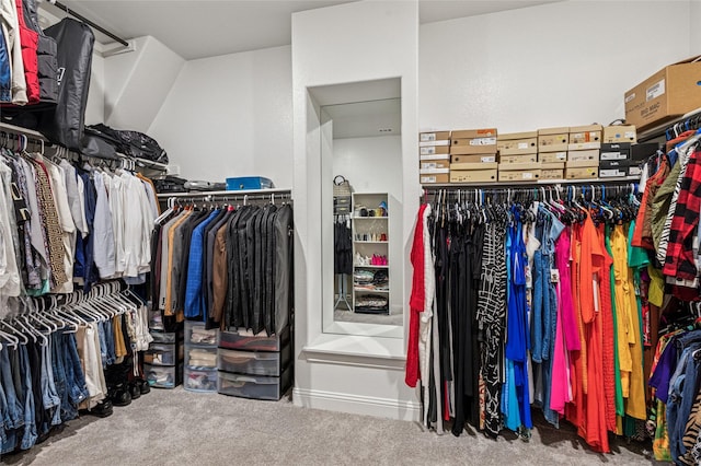 810 Brenda Dr, Mansfield, TX 76063 - walk in closet with carpet flooring