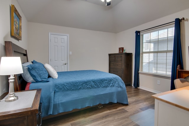 6001 Lacebark Elm Dr, Fort Worth, TX 76123 - bedroom with wood finished floors, lofted ceiling, and baseboards