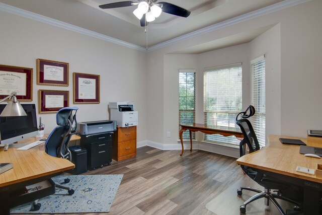 6001 Lacebark Elm Dr, Fort Worth, TX 76123 - office area featuring wood finished floors, a tray ceiling, ceiling fan, crown molding, and baseboards