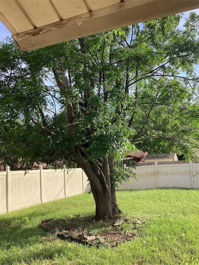 6341 Leaning Oak St, Dallas, TX 75241 - view of yard