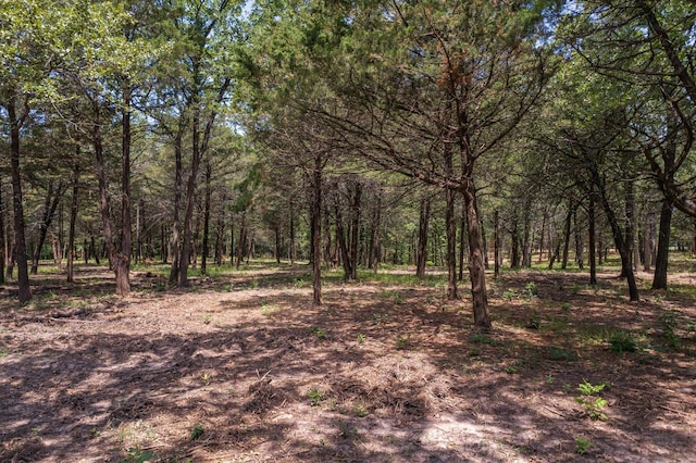 4407 County Road 3706, Wills Point, TX 75169