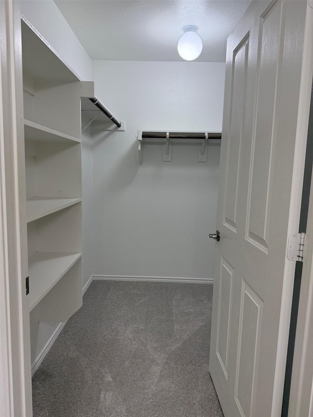 7421 Kite Ln, Frisco, TX 75036 - walk in closet featuring carpet flooring