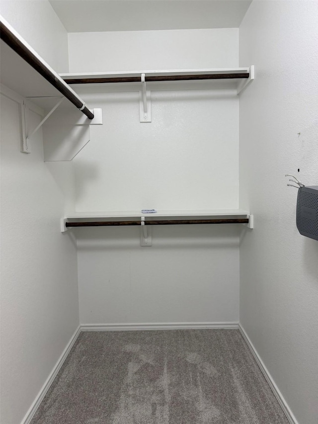 7421 Kite Ln, Frisco, TX 75036 - walk in closet featuring carpet