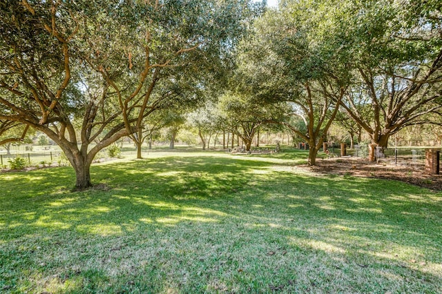 4 Rushing Meadow Ct, Dalworthington Gardens, TX 76016 - view of yard