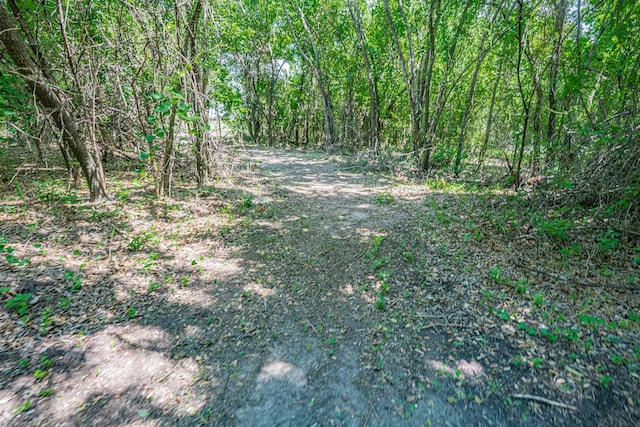 7700 County Road 144, Stephenville, TX 76401 - view of tree filled area