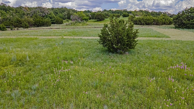 7700 County Road 144, Stephenville, TX 76401 - view of yard with a view of rural / pastoral area