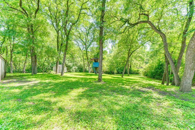 view of grassy yard
