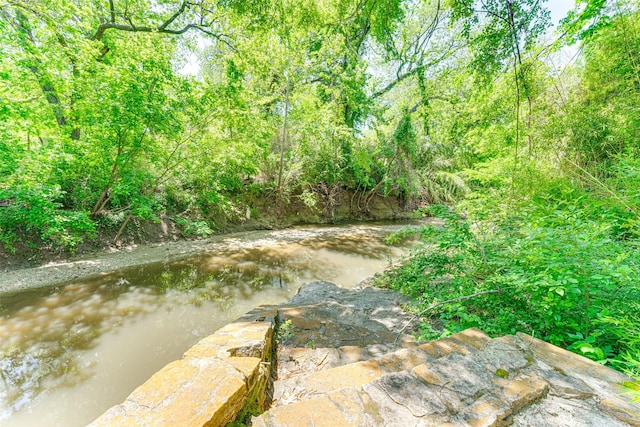 view of local wilderness