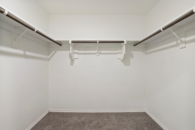 2302 Torch Lake Dr, Forney, TX 75126 - walk in closet with carpet flooring