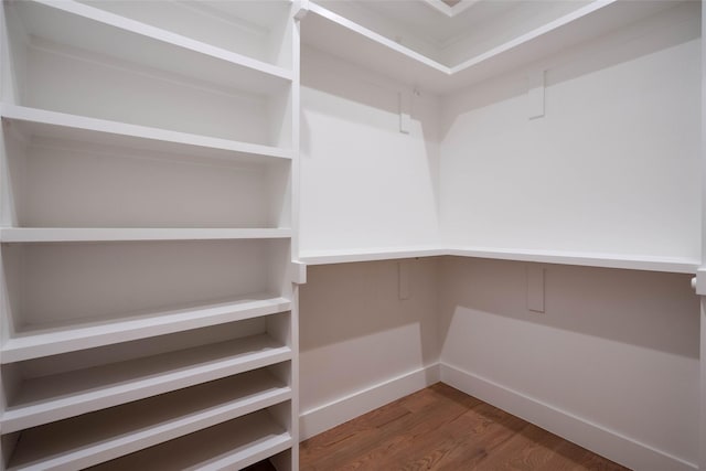 spacious closet featuring wood finished floors