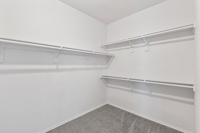 813 Canyon Pl, Desoto, TX 75115 - walk in closet with carpet flooring