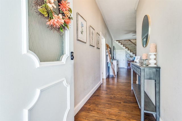 1009 W 7th St, Justin, TX 76247 - hallway with dark wood-style floors, stairs, and baseboards