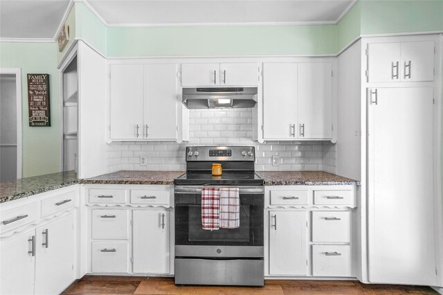 200 S Mimosa St, Paradise, TX 76073 - kitchen featuring stainless steel electric stove, under cabinet range hood, white cabinets, tasteful backsplash, and crown molding