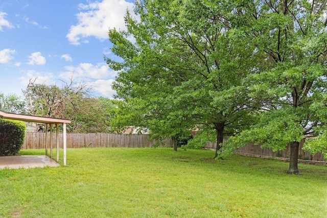 view of yard featuring a patio