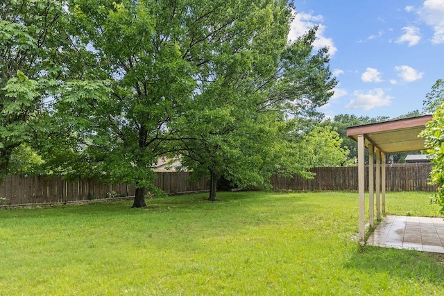 view of yard featuring a patio