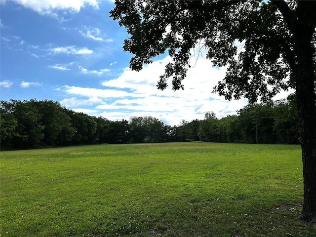 1075 County Road 32240, Sumner, TX 75486 - view of woods with a view of rural / pastoral area