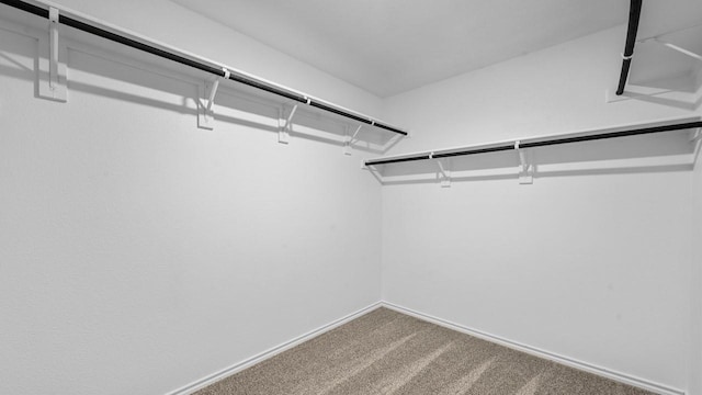 440 Drake Dr, Ferris, TX 75125 - walk in closet with carpet