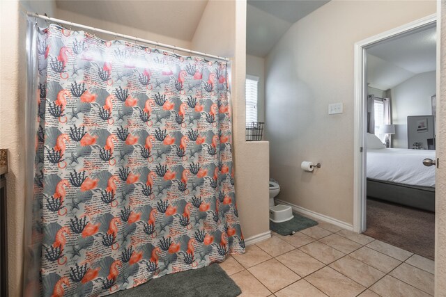 2717 Swift Creek Dr, Fort Worth, TX 76123 - bathroom featuring lofted ceiling, tile patterned flooring, plenty of natural light, toilet, and connected bathroom