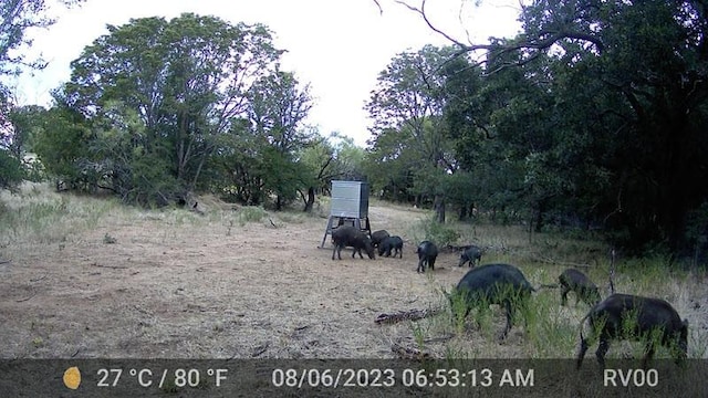 1116 Lowrance Rd, Jacksboro, TX 76458