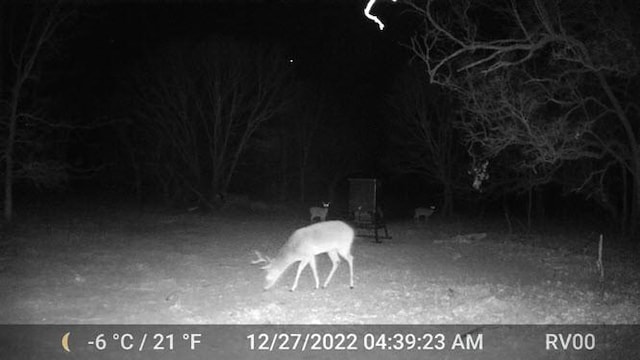 1116 Lowrance Rd, Jacksboro, TX 76458