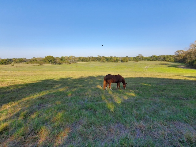 1180 Cameron Hl, Van Alstyne, TX 75495