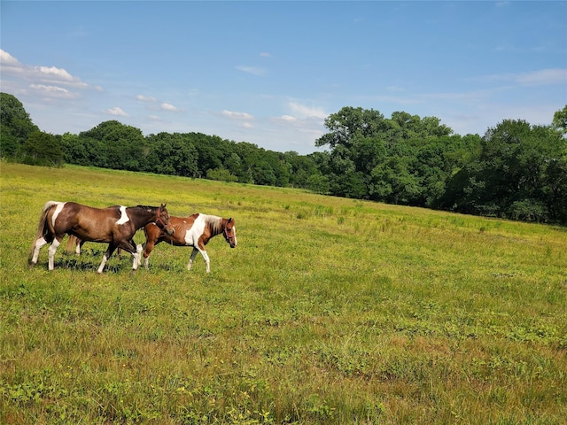 1180 Cameron Hl, Van Alstyne, TX 75495
