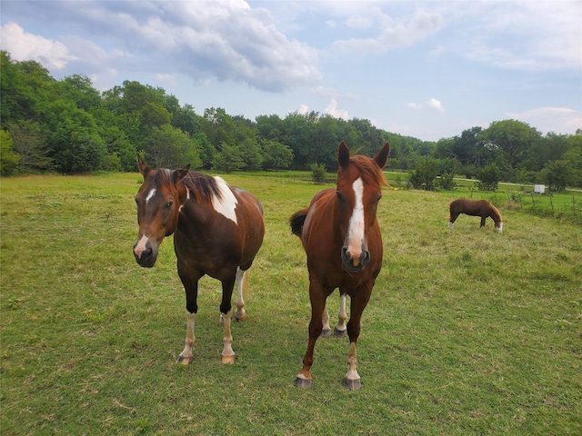 1180 Cameron Hl, Van Alstyne, TX 75495