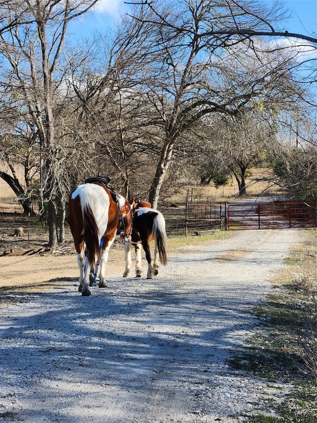 1180 Cameron Hl, Van Alstyne, TX 75495