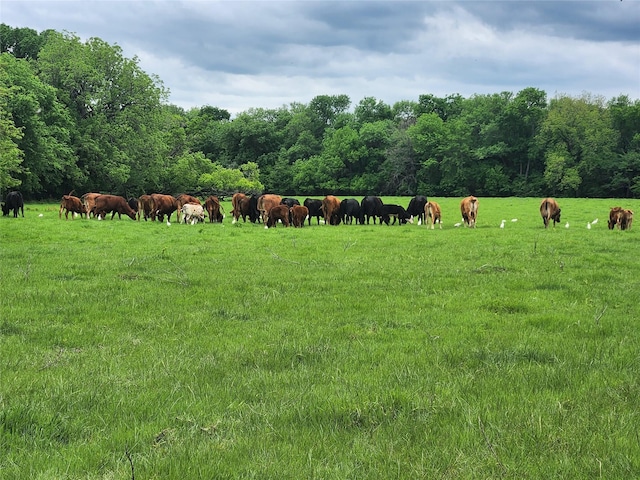 1180 Cameron Hl, Van Alstyne, TX 75495