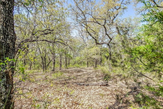 5600 Temple Hall Hwy, Granbury, TX 76049