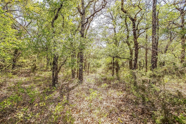 5600 Temple Hall Hwy, Granbury, TX 76049