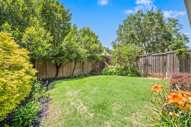 4252 Millview Ln, Dallas, TX 75287 - view of yard