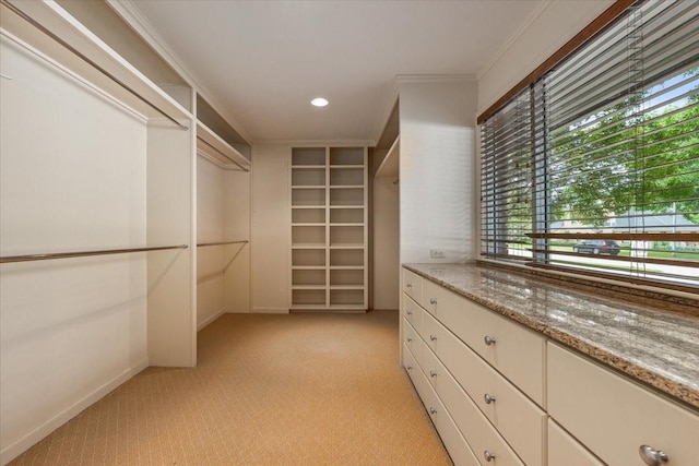 2900 Simondale Dr, Fort Worth, TX 76109 - walk in closet featuring light carpet