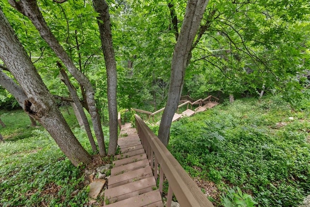 2900 Simondale Dr, Fort Worth, TX 76109 - view of yard featuring stairs