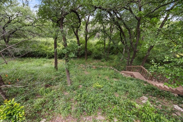 2900 Simondale Dr, Fort Worth, TX 76109 - view of yard with a view of trees