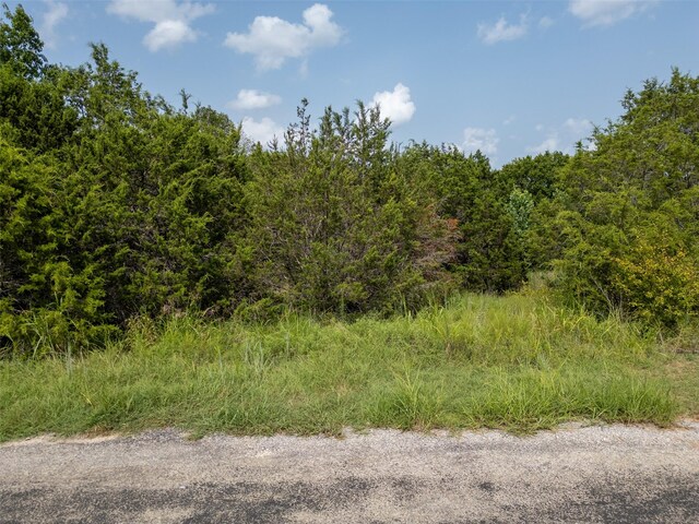 4013 Ponca Dr, Granbury, TX 76048