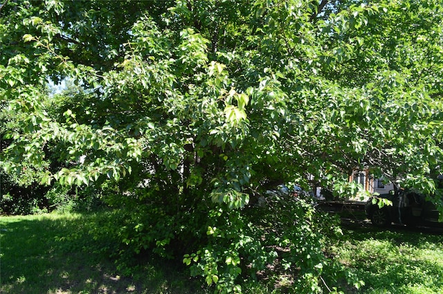 8907 Diceman Dr, Dallas, TX 75218 - view of undeveloped land