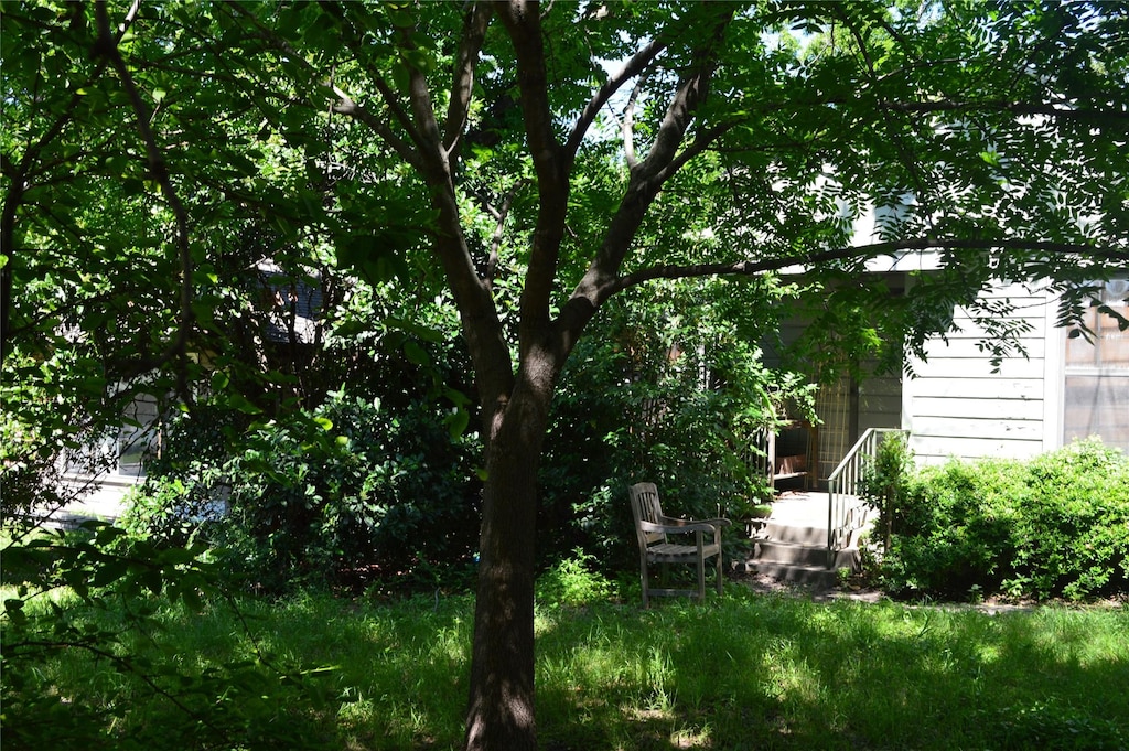 8907 Diceman Dr, Dallas, TX 75218 - view of yard