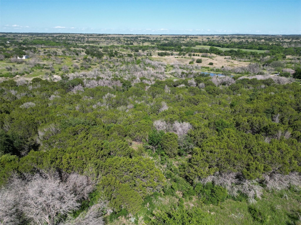TBD Private Road 723, Bluff Dale, TX 76433