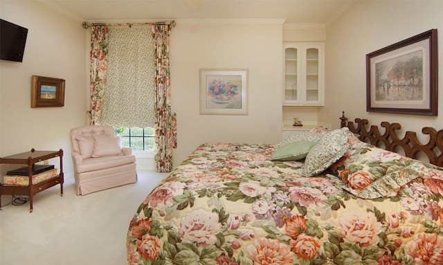 1706 Kiowa, Graham, TX 76450 - carpeted bedroom with crown molding and baseboards
