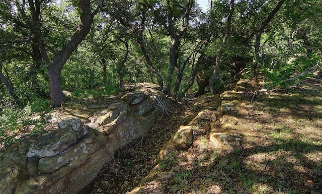 1706 Kiowa, Graham, TX 76450 - view of woods