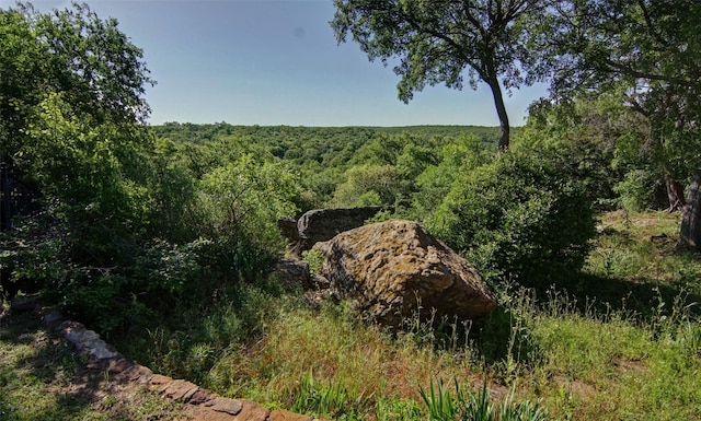1706 Kiowa, Graham, TX 76450 - view of woods