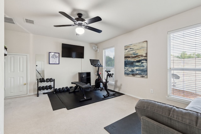 1016 Hidden Creek Ct, Allen, TX 75002 - workout area featuring carpet, a ceiling fan, and baseboards
