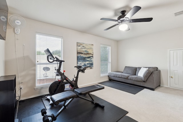 1016 Hidden Creek Ct, Allen, TX 75002 - workout area with a ceiling fan, baseboards, and carpet