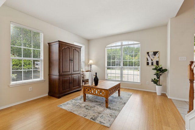 1016 Hidden Creek Ct, Allen, TX 75002 - office space with light wood-style flooring and baseboards