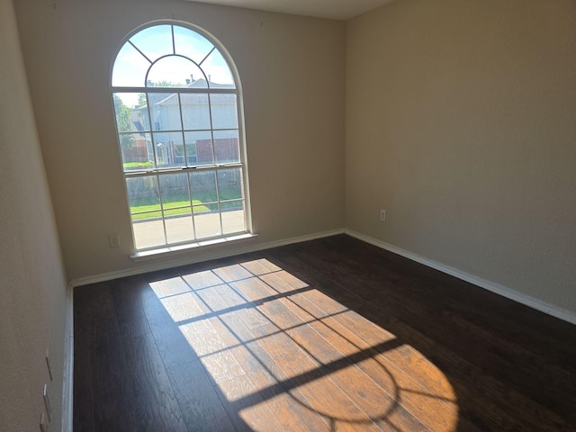8313 French Quarter Ln, Fort Worth, TX 76123 - spare room with healthy amount of natural light, dark wood-type flooring, and baseboards