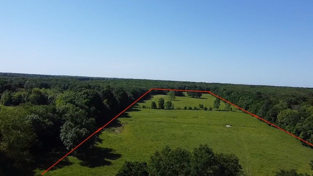 9216 Fm 195, Paris, TX 75462 - aerial view of sparsely populated area with a forest and property parcel outlined
