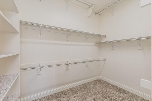 spacious closet with carpet flooring